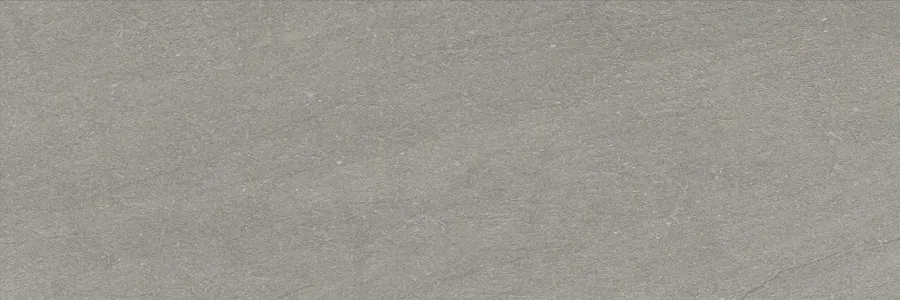 PETRALAVA GRIS 25 X 75