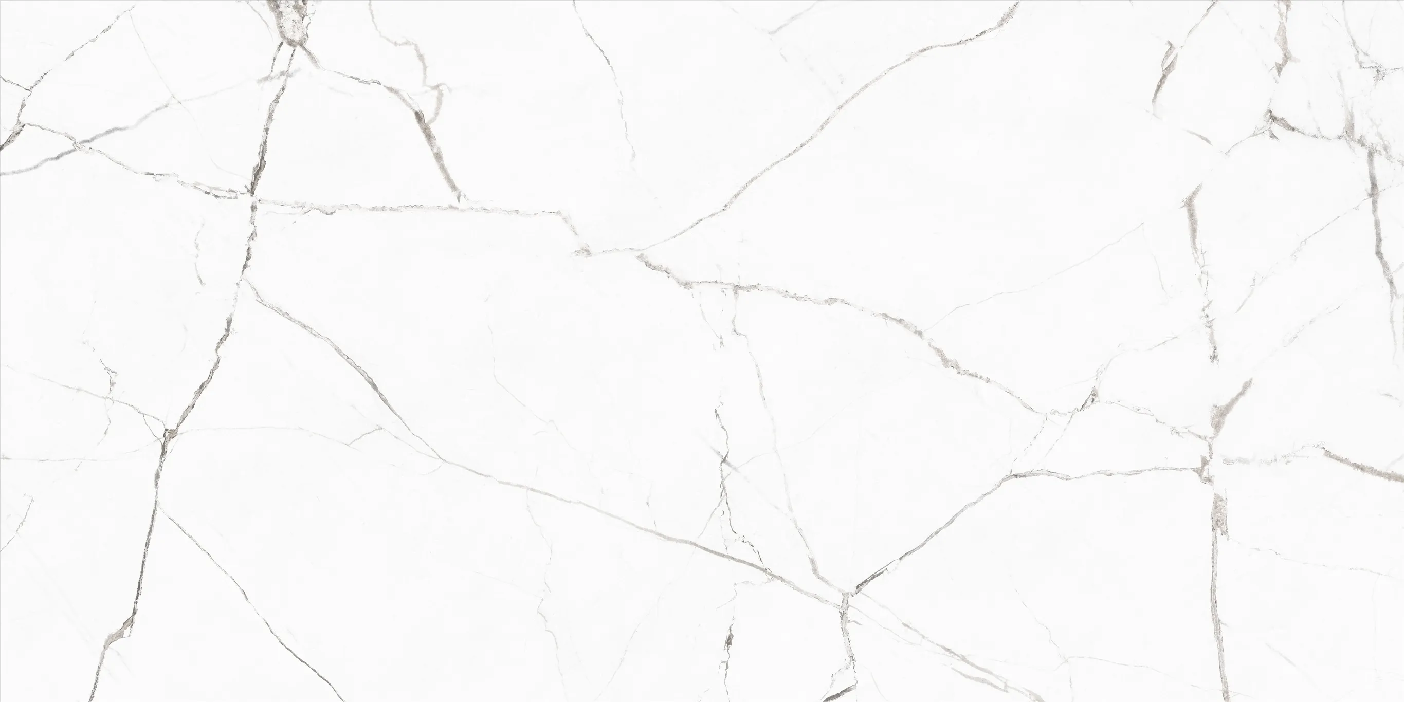 DELIGHT BLANCO ANTICATTO 120 X 60