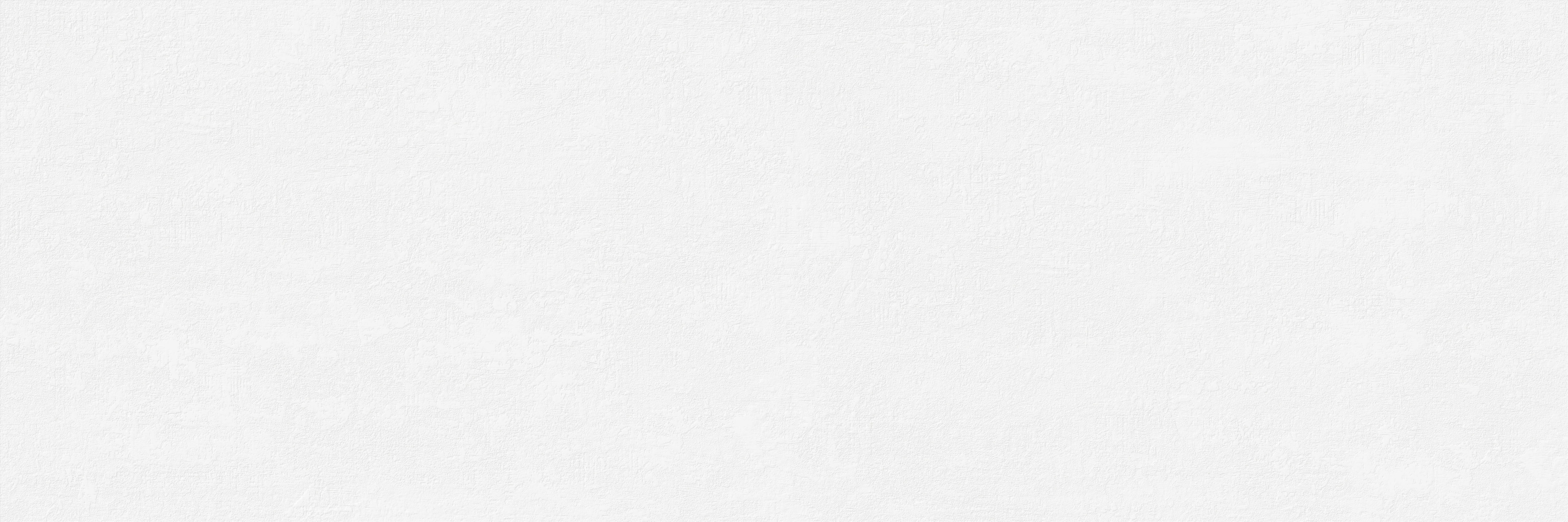 ABSOLUTE BLANCO MATE 40 X 120