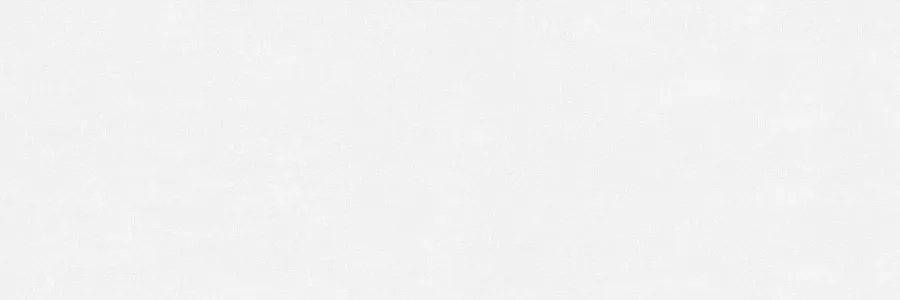 ABSOLUTE BLANCO MATE 40 X 120