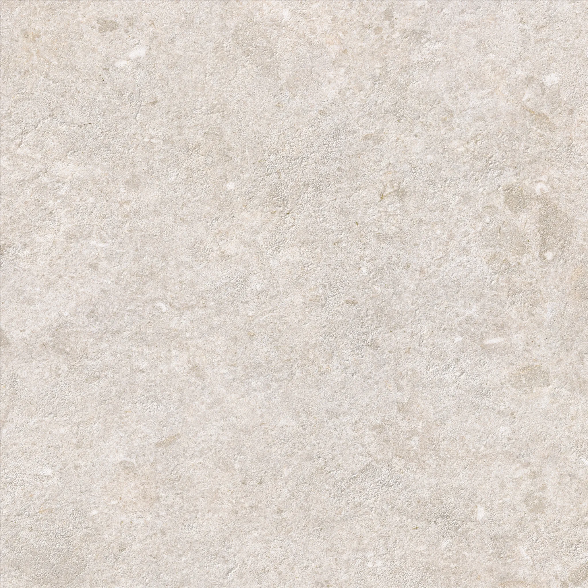 CAVALLINA MARFIL 60 X 60