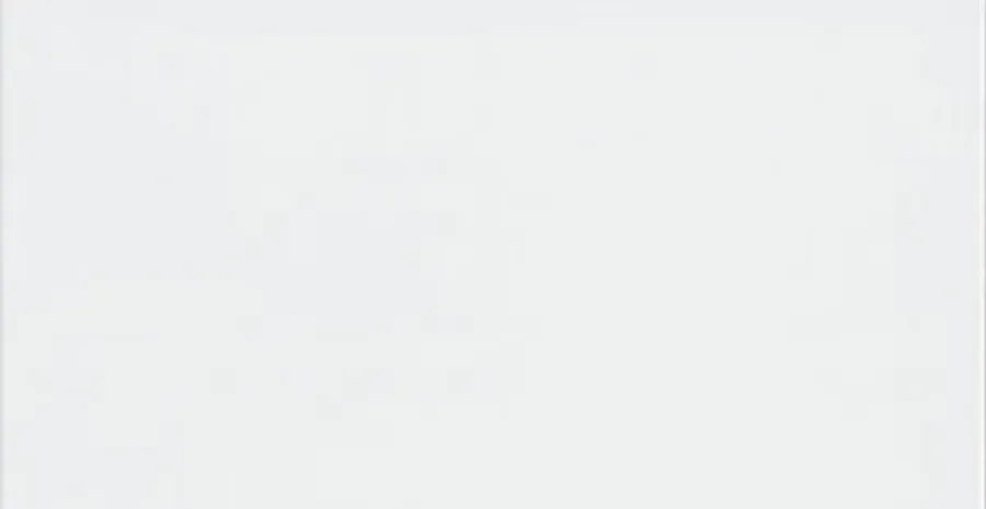 SINTESIS BRILLO BLANCO (PB) 31 X 61