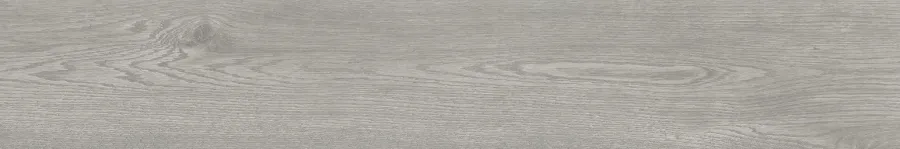 ROBUR GRIS 120 X 20_