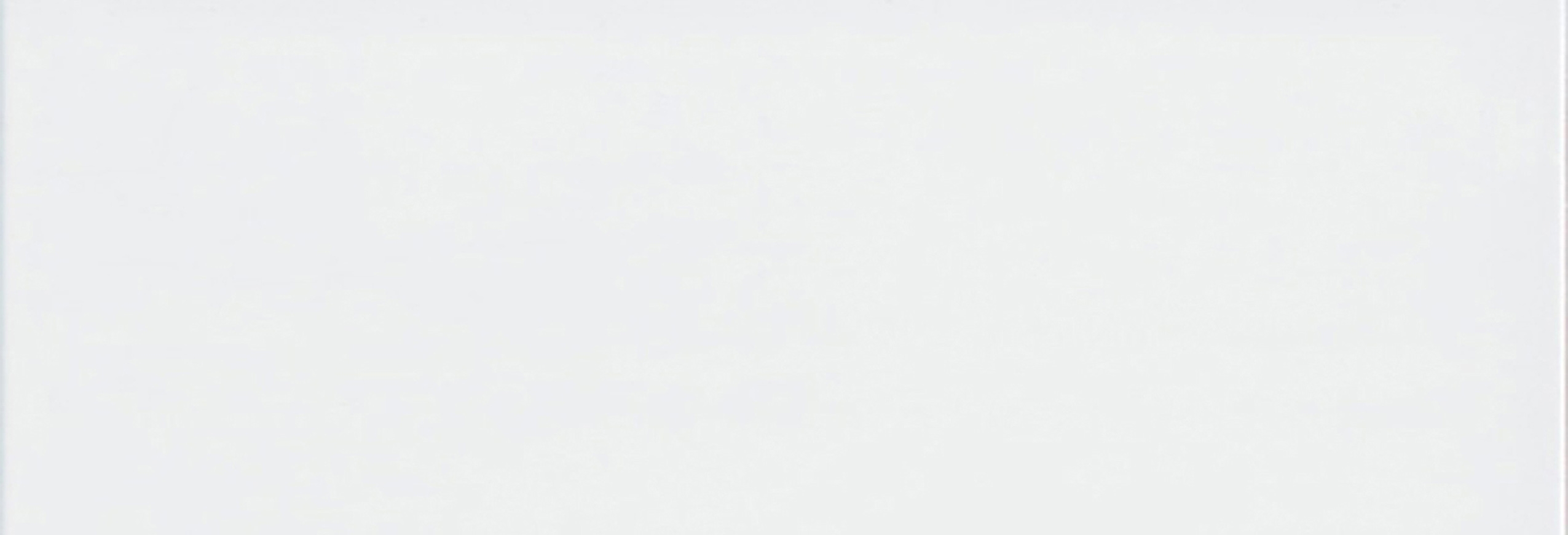 SINTESIS BLANCO BRILLO 31 X 91