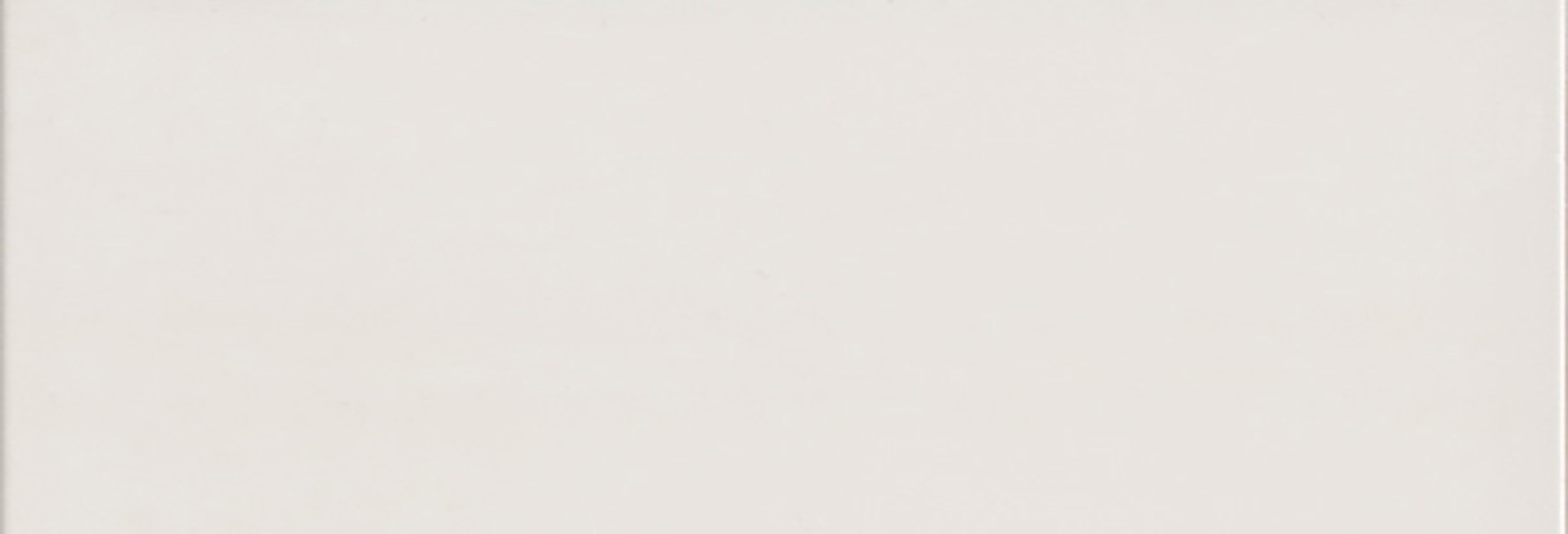 SINTESIS BLANCO MATE 31 X 91