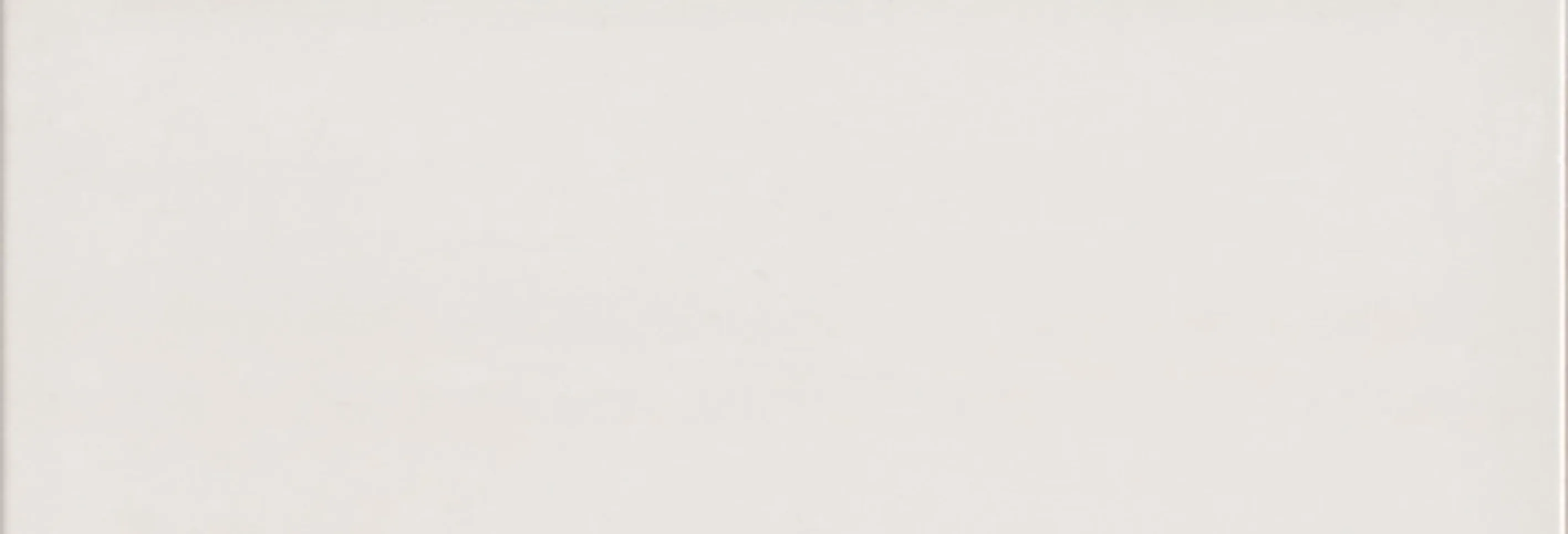 SINTESIS BLANCO MATE 31 X 91