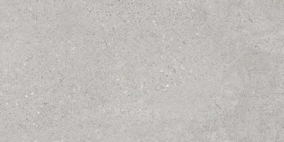 BLENDING GRIS 30 X 60