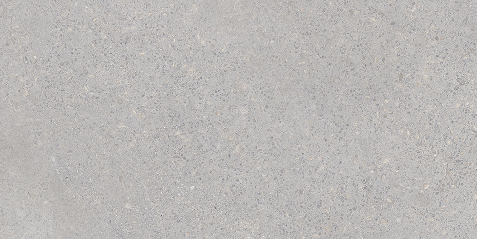 BLENDING GRIS 30 X 60