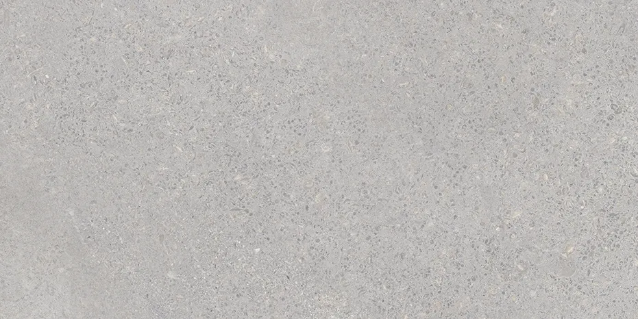 BLENDING GRIS 30 X 60