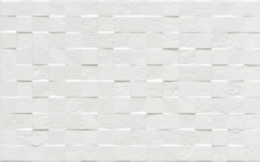 FLISAT BLANCO MATE 25 X 50