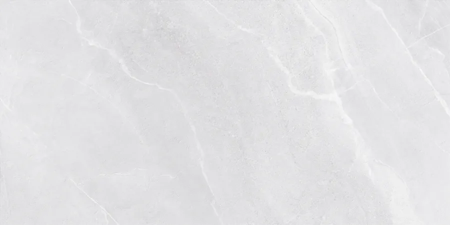 BYBLOS GRIS 120 X 60