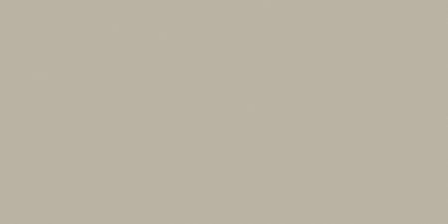 PROYECCION GRIS 120 X 60_